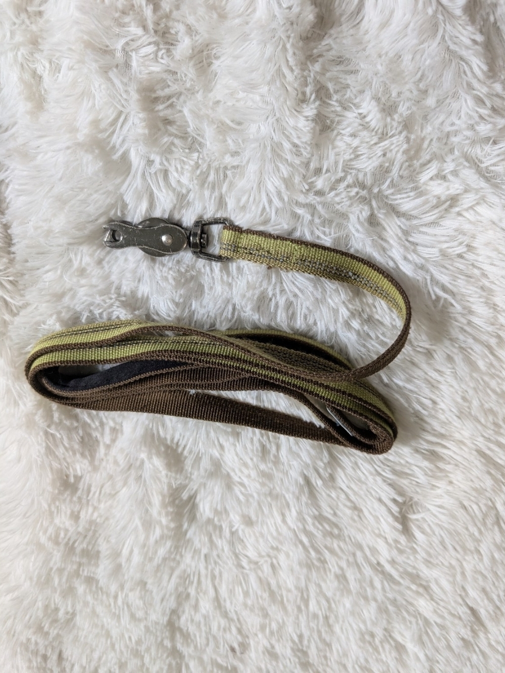 K9 Explorer Clamp Clip Green Striped Dog Leash 60"
